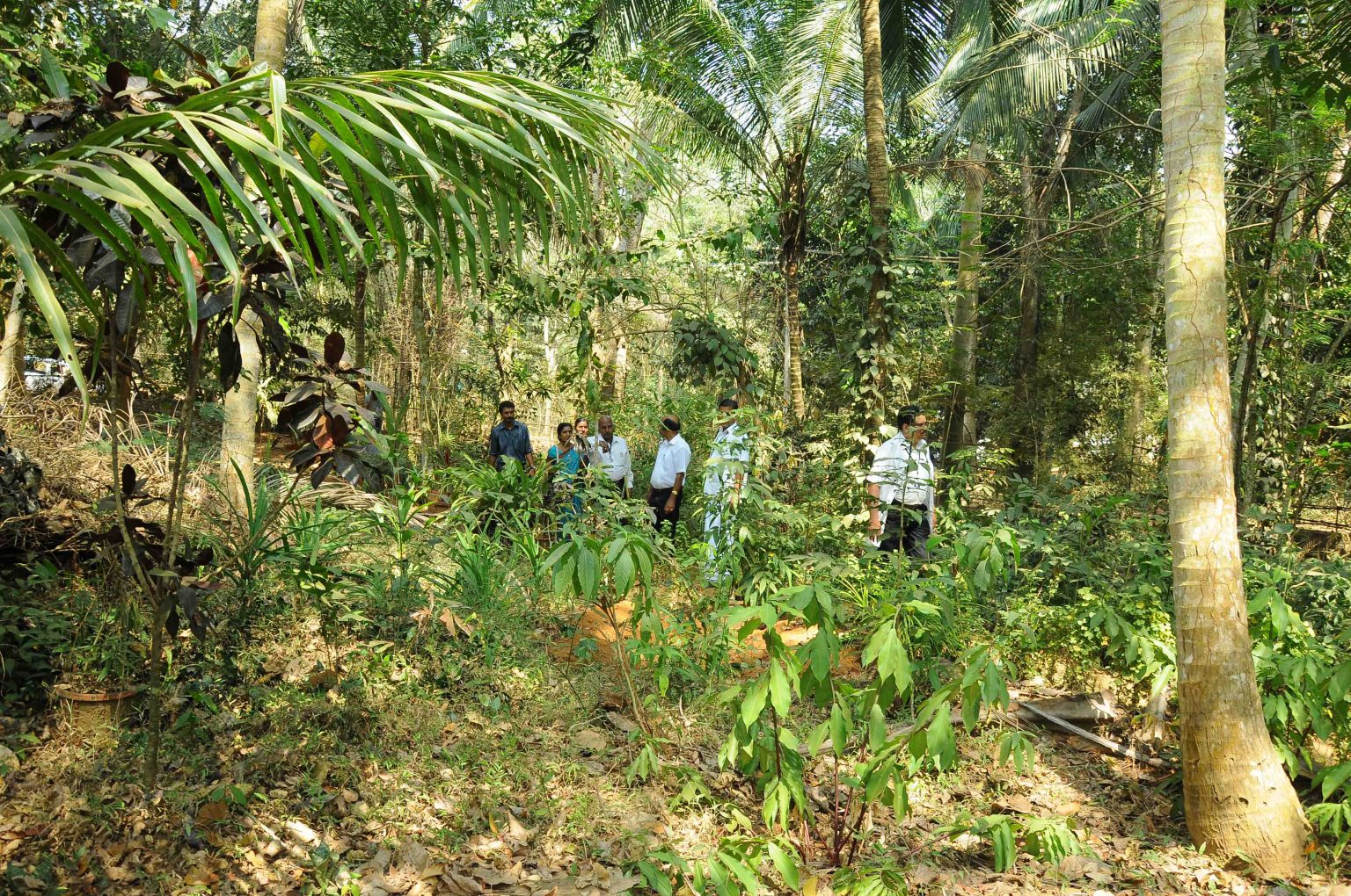 Herbal Garden1