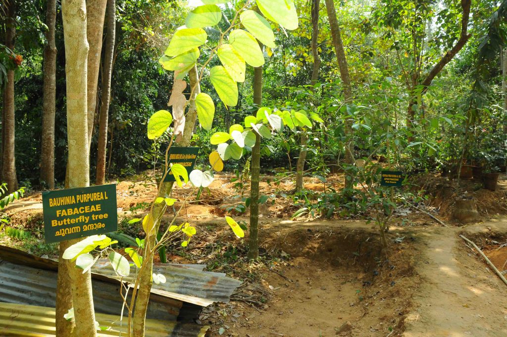 Herbal-Garden Intergrated Campus